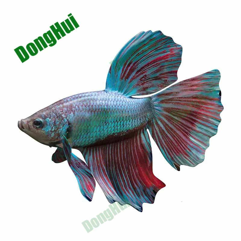 

Guppy Tropical Betta Car Stickers Rear Windshield Helmet Tablet Camper Van Skateboard Motorcycle Karts Modified Vehicles Decals