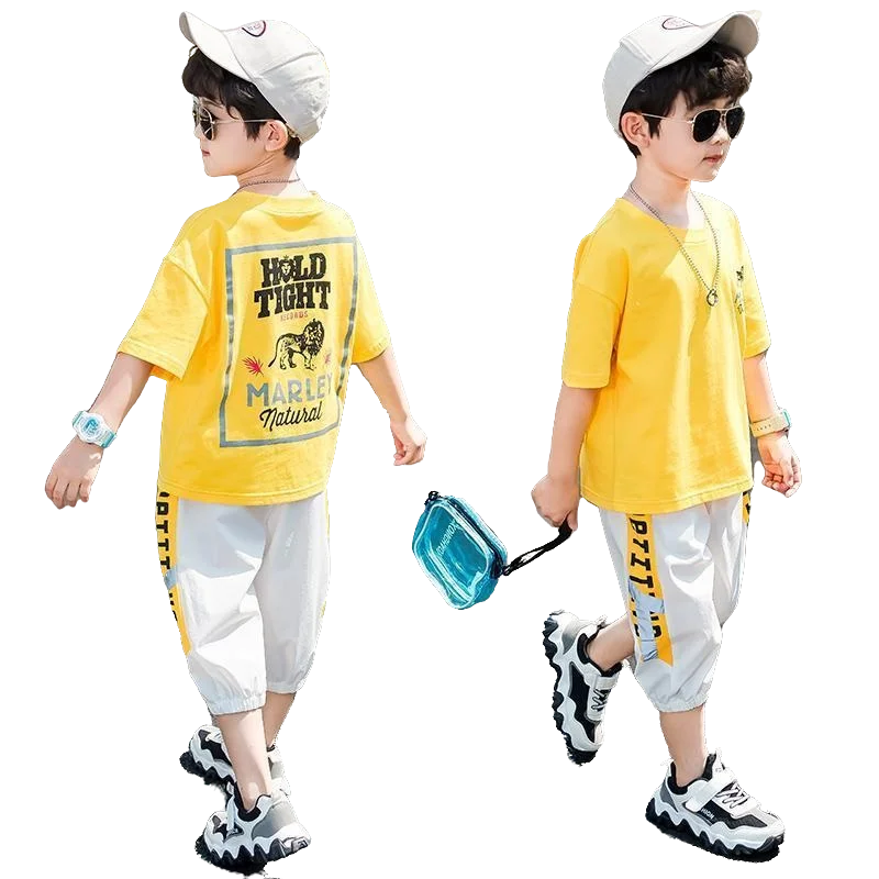 Boys Clothing Set Kids Clothes Suits For Boy Clothes Children Short Sleeve Shorts Summer Kids Sport Tracksuit Outfit 2-12 Years
Boys Clothing Set Kids Clothes Suits For Boy Clothes Children Short Sleeve Shorts Summer Kids Sport Tracksuit Outfit 2-12 Years