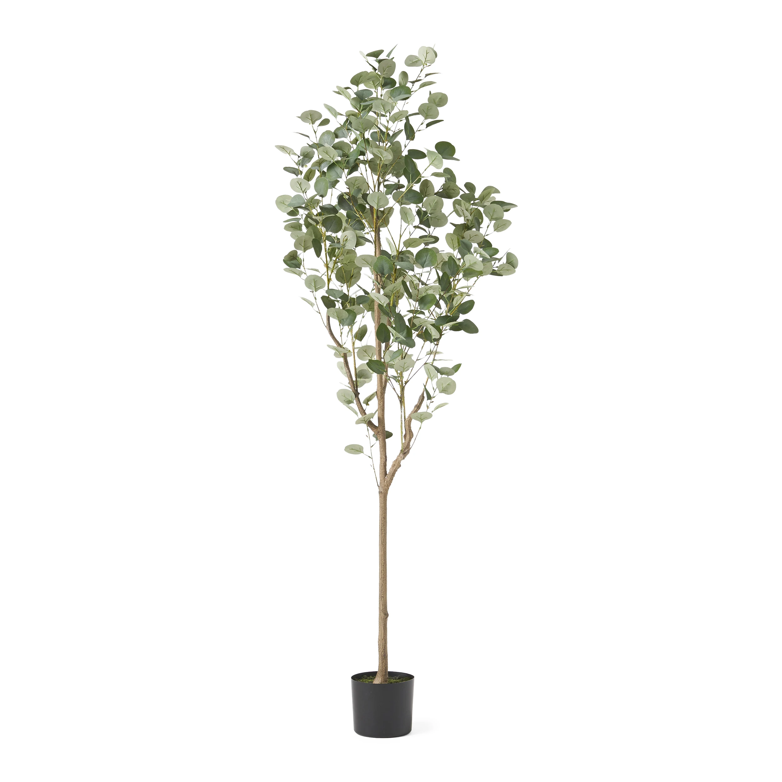 Бесплатная доставка Adair 6 'x 2,5' искусственный Настольный эвкалипт дерево зеленый
Бесплатная доставка Adair 6 'x 2,5' искусственный Настольный эвкалипт дерево зеленый