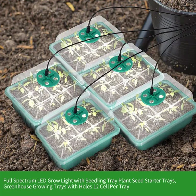 LED Plant Lights Seedling Trays Kit High Cover Propagator Growing Tray Seeds Starter Set Garden Greenhouse Seed Nursery Pots
LED Plant Lights Seedling Trays Kit High Cover Propagator Growing Tray Seeds Starter Set Garden Greenhouse Seed Nursery Pots
