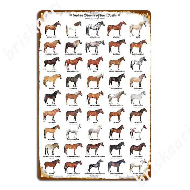 Лошадные породы мира, металлические знаки, стиль паба, веселые настенные декорации, металлические постеры, украшение комнаты
Лошадные породы мира, металлические знаки, стиль паба, веселые настенные декорации, металлические постеры, украшение комнаты
