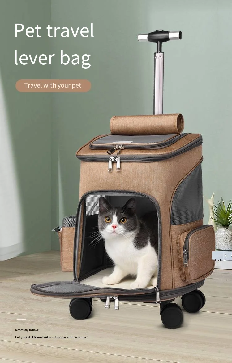 Cat Dog Pet Pull Stick Wheeled Backpack Convenient To Go Out Cat Bag Pet Backpack Folding Cat Dog Carrier Backpack with Window
Cat Dog Pet Pull Stick Wheeled Backpack Convenient To Go Out Cat Bag Pet Backpack Folding Cat Dog Carrier Backpack with Window