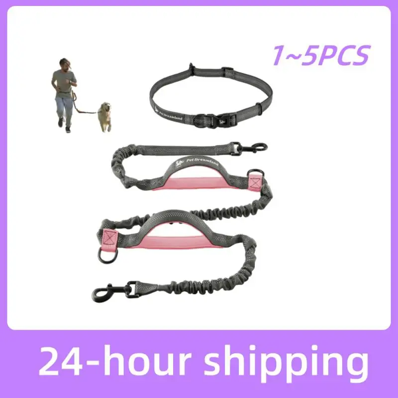 1~5PCS High Qulity Retractable Hands Free Dog Leash For Running Dual Handle Bungee Leash Reflective For Large Dogs Pet Supplies
1~5PCS High Qulity Retractable Hands Free Dog Leash For Running Dual Handle Bungee Leash Reflective For Large Dogs Pet Supplies