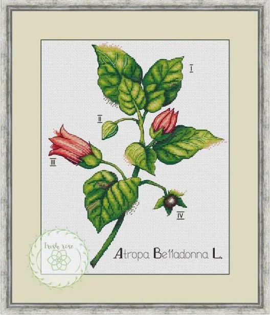 DIY Hand Cross Stitch Embroidery Kit, Tomato Flower Clock, Count Canvas, Needlework Sewing Set, 34-39
DIY Hand Cross Stitch Embroidery Kit, Tomato Flower Clock, Count Canvas, Needlework Sewing Set, 34-39