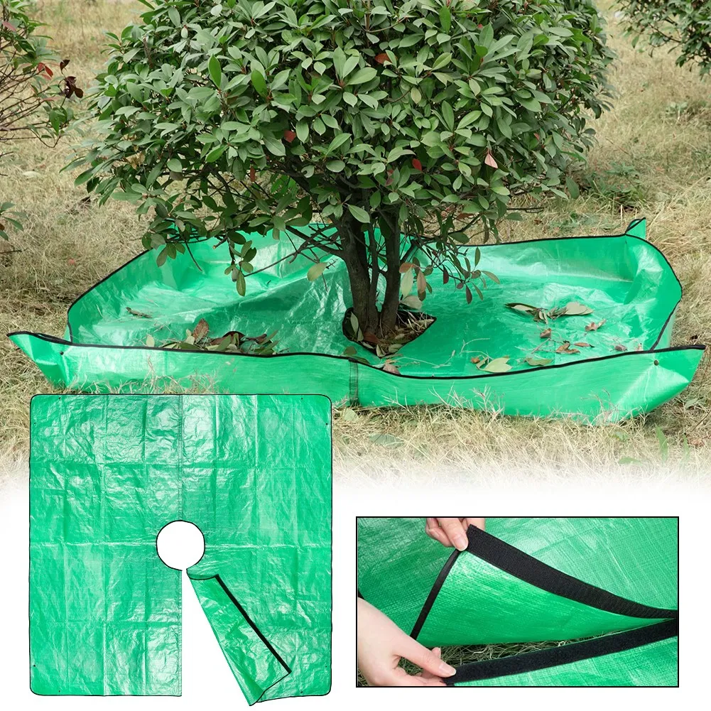 Brand New Tarps Trimming Replacement Shrub Tools Tree Waterproof Chainsaw Equipment Garden Grass Landscape Lawn
Brand New Tarps Trimming Replacement Shrub Tools Tree Waterproof Chainsaw Equipment Garden Grass Landscape Lawn