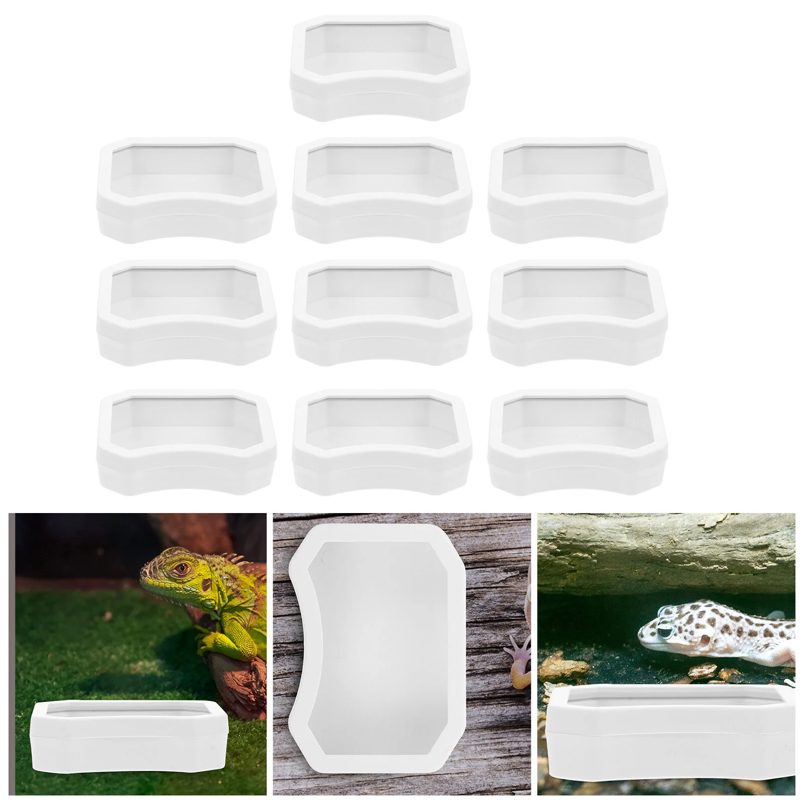 Bowl Reptile Dish Feeding Water Lizard Food Bowls Worm Toy Reptiles Toys Gecko Turtle Pet Cave Feeder Mealworm Caves Escape
Bowl Reptile Dish Feeding Water Lizard Food Bowls Worm Toy Reptiles Toys Gecko Turtle Pet Cave Feeder Mealworm Caves Escape