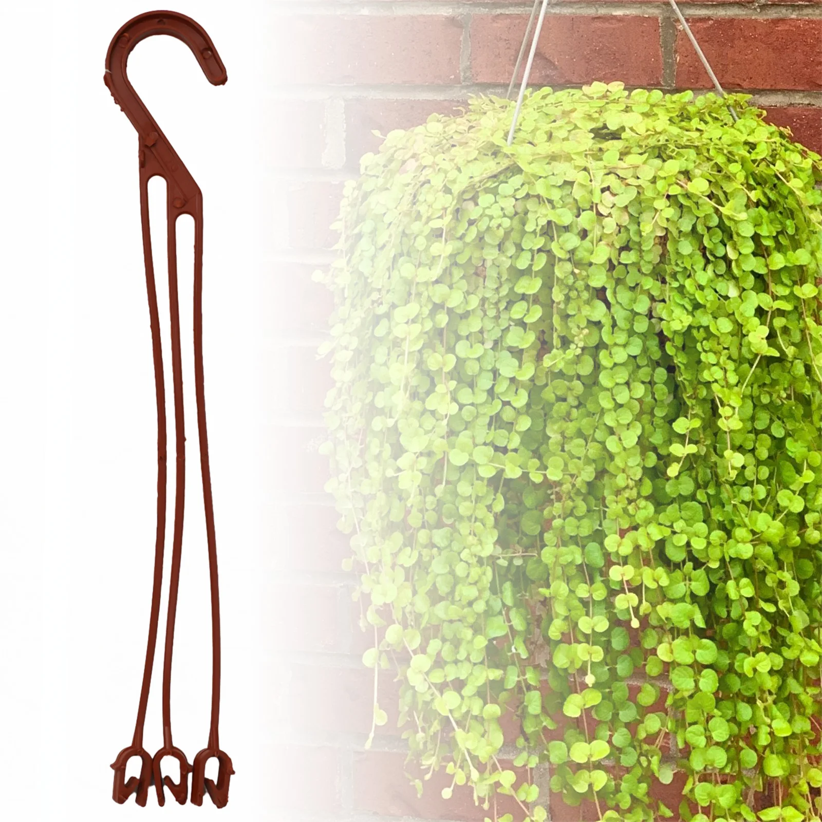 Brand New Durable Portable Flower Pot Chain Plant Basket Accessories Airflow Artificial Flowers Decor Decoraion
Brand New Durable Portable Flower Pot Chain Plant Basket Accessories Airflow Artificial Flowers Decor Decoraion
