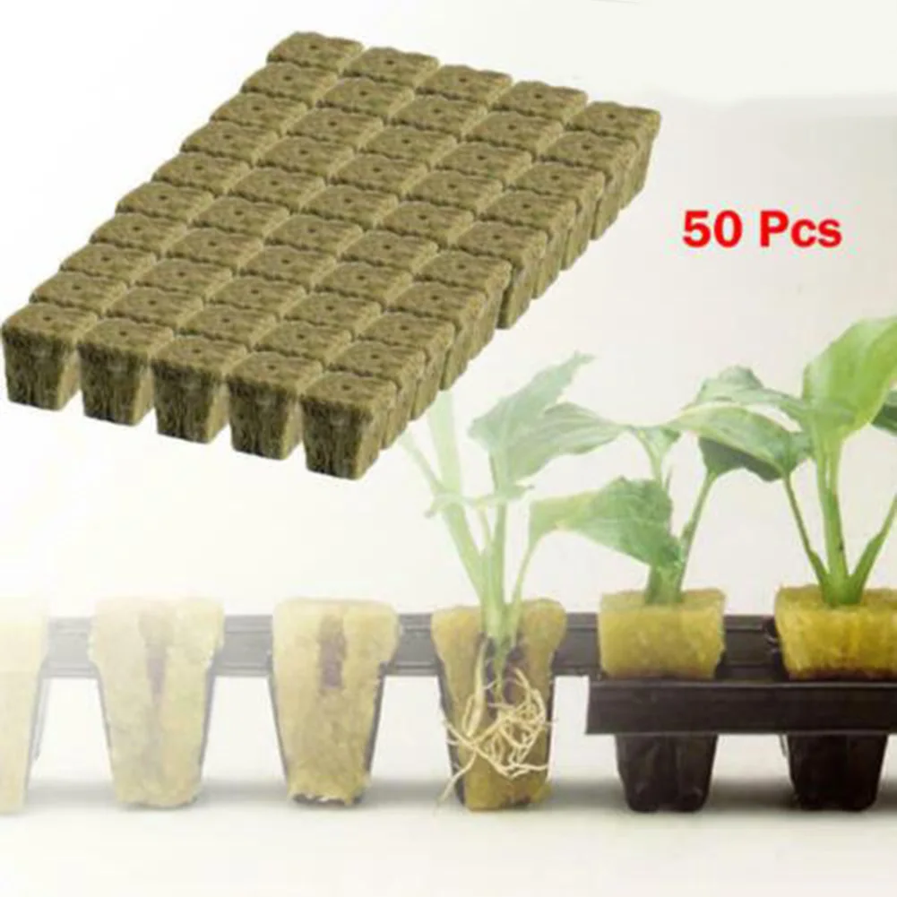 Plant Net Cups Planting Basket Cubes Diameter 38.5mm For Hydroponic Plastic Soilless Planting Sponge Sprout Durable
Plant Net Cups Planting Basket Cubes Diameter 38.5mm For Hydroponic Plastic Soilless Planting Sponge Sprout Durable