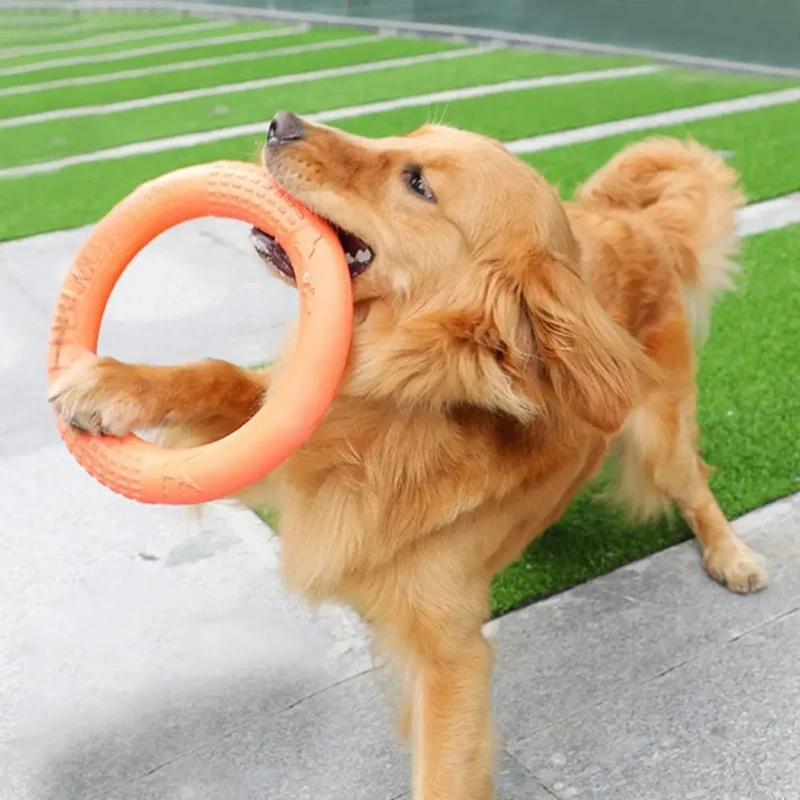 Dog Toy Pet Rally Ring Teething Dog Toys Pet Flying Disk Training Ring Puller Interactive Training Ring Puller Resistant for Dog
Dog Toy Pet Rally Ring Teething Dog Toys Pet Flying Disk Training Ring Puller Interactive Training Ring Puller Resistant for Dog