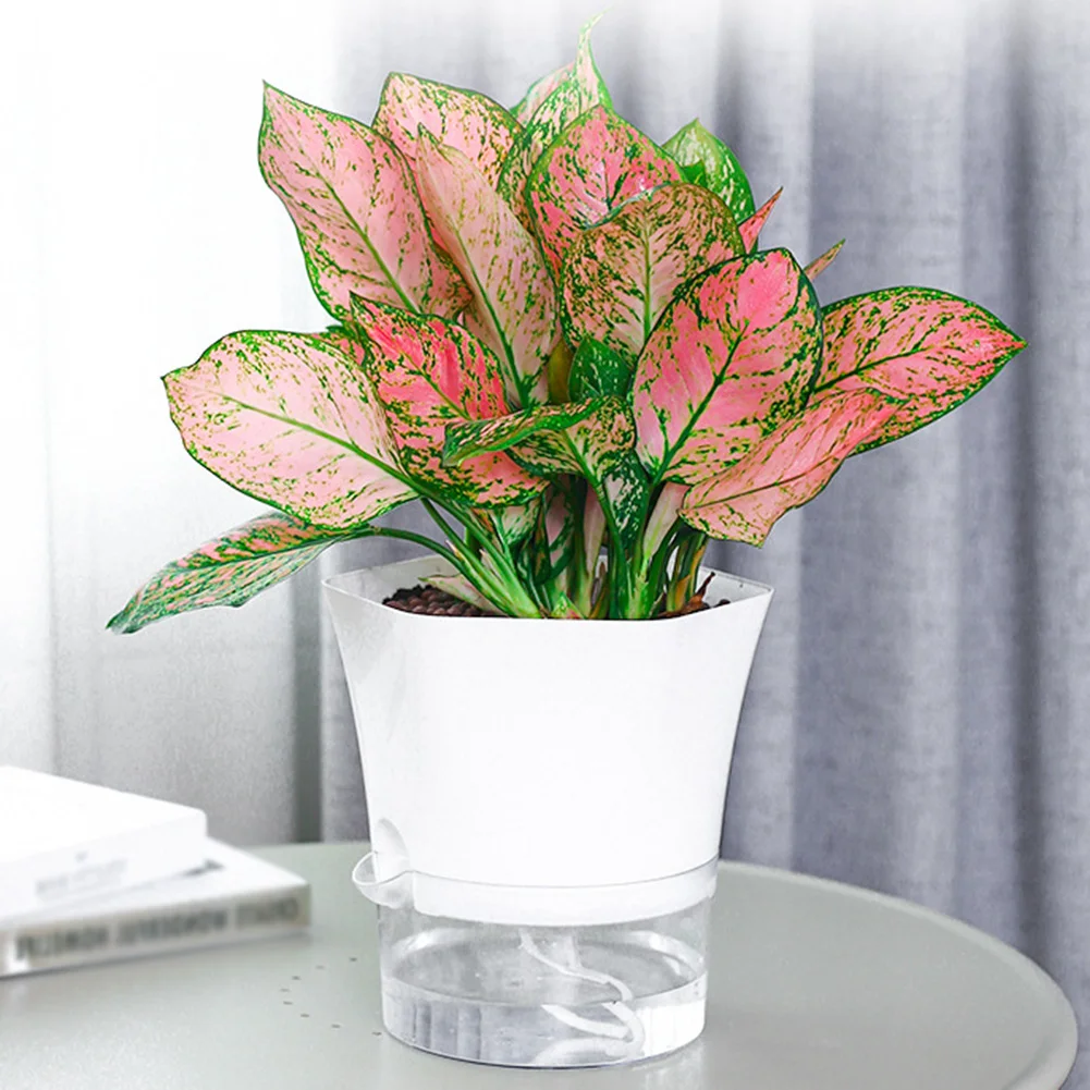 Garden Plant Pot Water-saving Decor Fertilizing Flower Reusable Self-Watering Transparent Washable Replacement
Garden Plant Pot Water-saving Decor Fertilizing Flower Reusable Self-Watering Transparent Washable Replacement