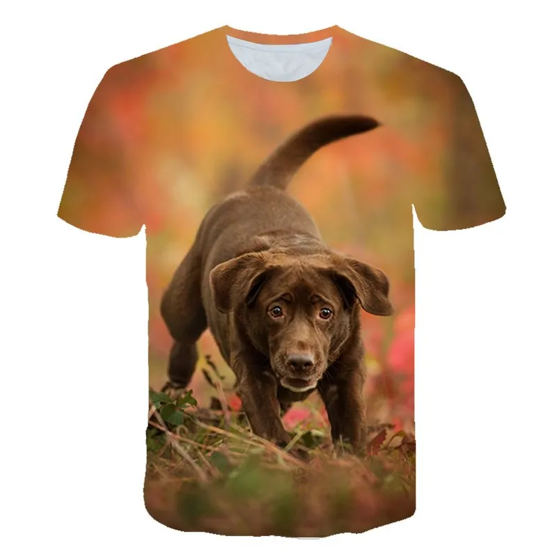 Boys Girls Summer T-Shirts 3-14 Years Children Animal Labrador Retriever Smart dog 3D Kids Oversized Print T shirt Tops Clothes
Boys Girls Summer T-Shirts 3-14 Years Children Animal Labrador Retriever Smart dog 3D Kids Oversized Print T shirt Tops Clothes