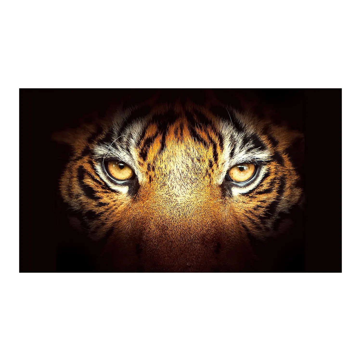 A166 for Truck Suv Pickup 3D Rear Windshield Sticker Sun Visor Decor Rear Window Glass Poster 165 x 56CM / 65 x 22 Inch
A166 for Truck Suv Pickup 3D Rear Windshield Sticker Sun Visor Decor Rear Window Glass Poster 165 x 56CM / 65 x 22 Inch