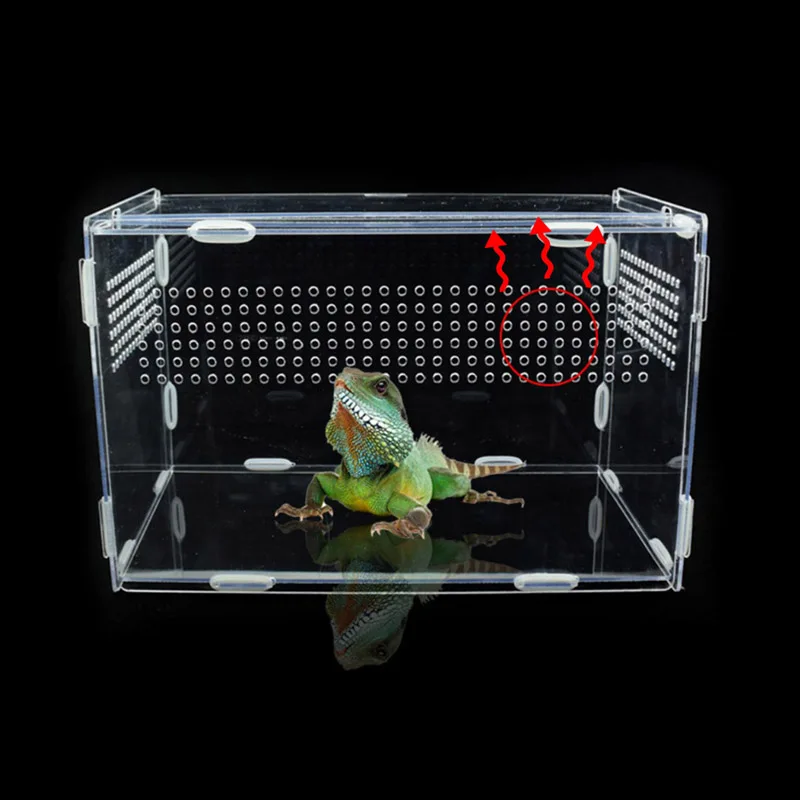Reptile Amphibians Feeding Tank Breeding Box Acrylic Clear Spider Breathable Terrarium Ornamental Box for Lizard Scorpion Insect
Reptile Amphibians Feeding Tank Breeding Box Acrylic Clear Spider Breathable Terrarium Ornamental Box for Lizard Scorpion Insect
