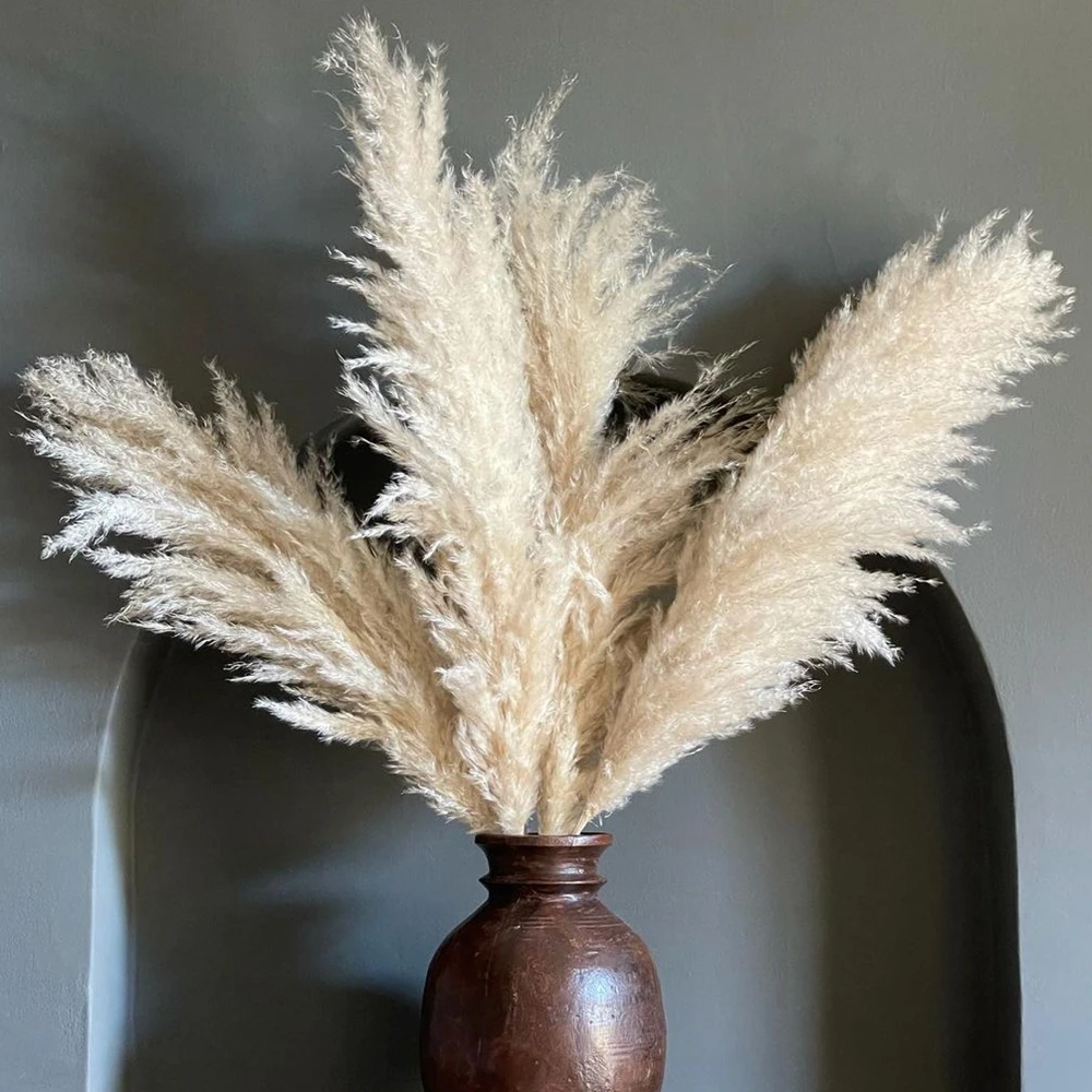 80cm Natural Dried Pampas Grass Decor Fluffy Dry Boho Wedding Flower Arrangement Living Home Pampas Bouquet Floral Decorations
80cm Natural Dried Pampas Grass Decor Fluffy Dry Boho Wedding Flower Arrangement Living Home Pampas Bouquet Floral Decorations