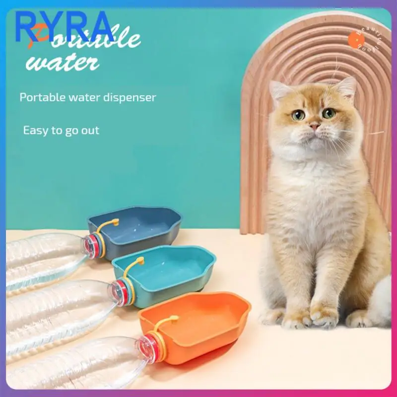 Pet Feeding Pet Feeding Cup Pet Food Cup Small Pet Drinking Water Dog Water Fountain Pet Supplies Foldable Pet Water Fountain
Pet Feeding Pet Feeding Cup Pet Food Cup Small Pet Drinking Water Dog Water Fountain Pet Supplies Foldable Pet Water Fountain