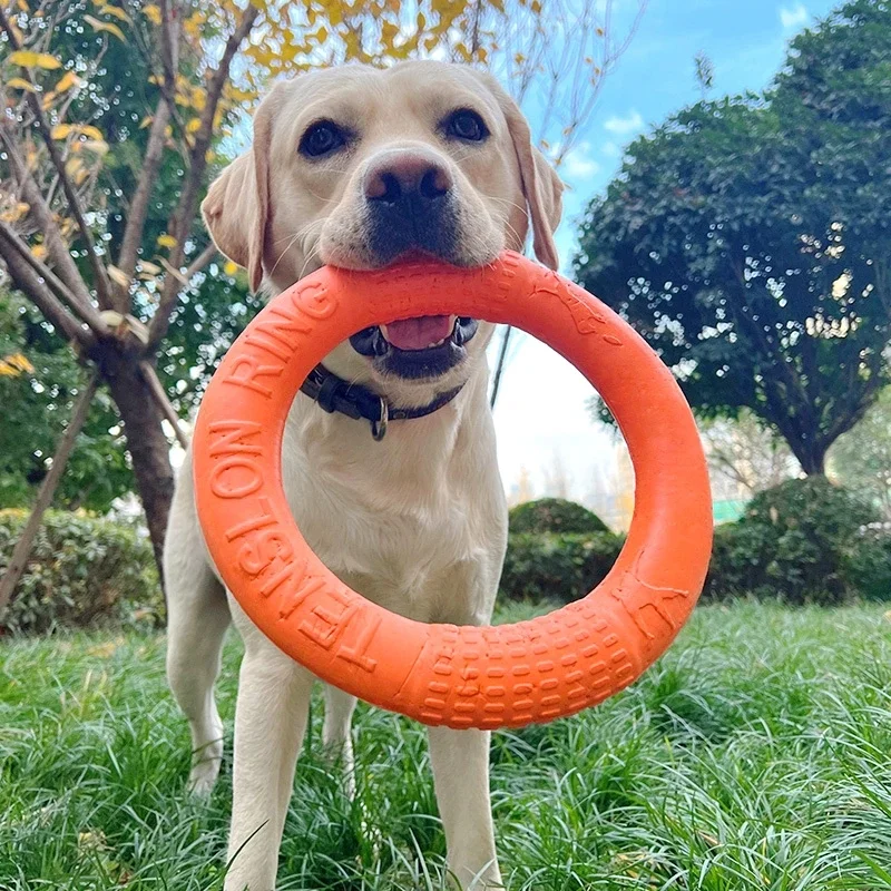 

Dog Toy Training Ring Puller Puppy Flying Disk Chewing Toys Outdoor Interactive Toy Dog Game Playing Supplies Zabawki Dla Psa