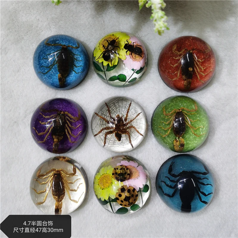 

Resin ornament artificial amber insect specimen artificial crystal scorpion spider Ladybug honey creative table decoration gift