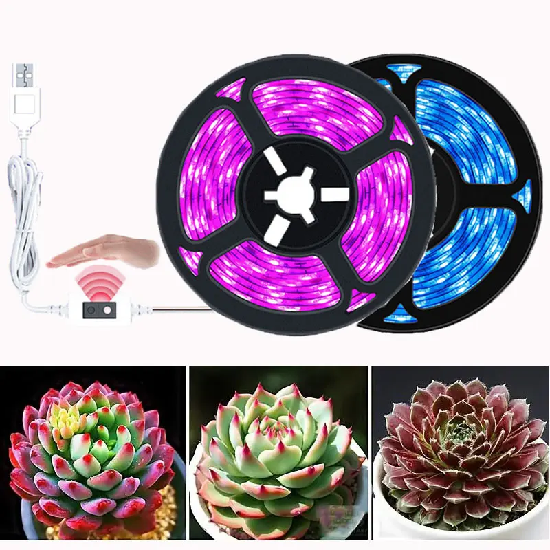 5M USB LED Grow Light Full Spectrum Wave Sensor Switch LED Strip Phytolamp for Indoor Plant Hydroponic Greenhouse Flower Seeds
5M USB LED Grow Light Full Spectrum Wave Sensor Switch LED Strip Phytolamp for Indoor Plant Hydroponic Greenhouse Flower Seeds