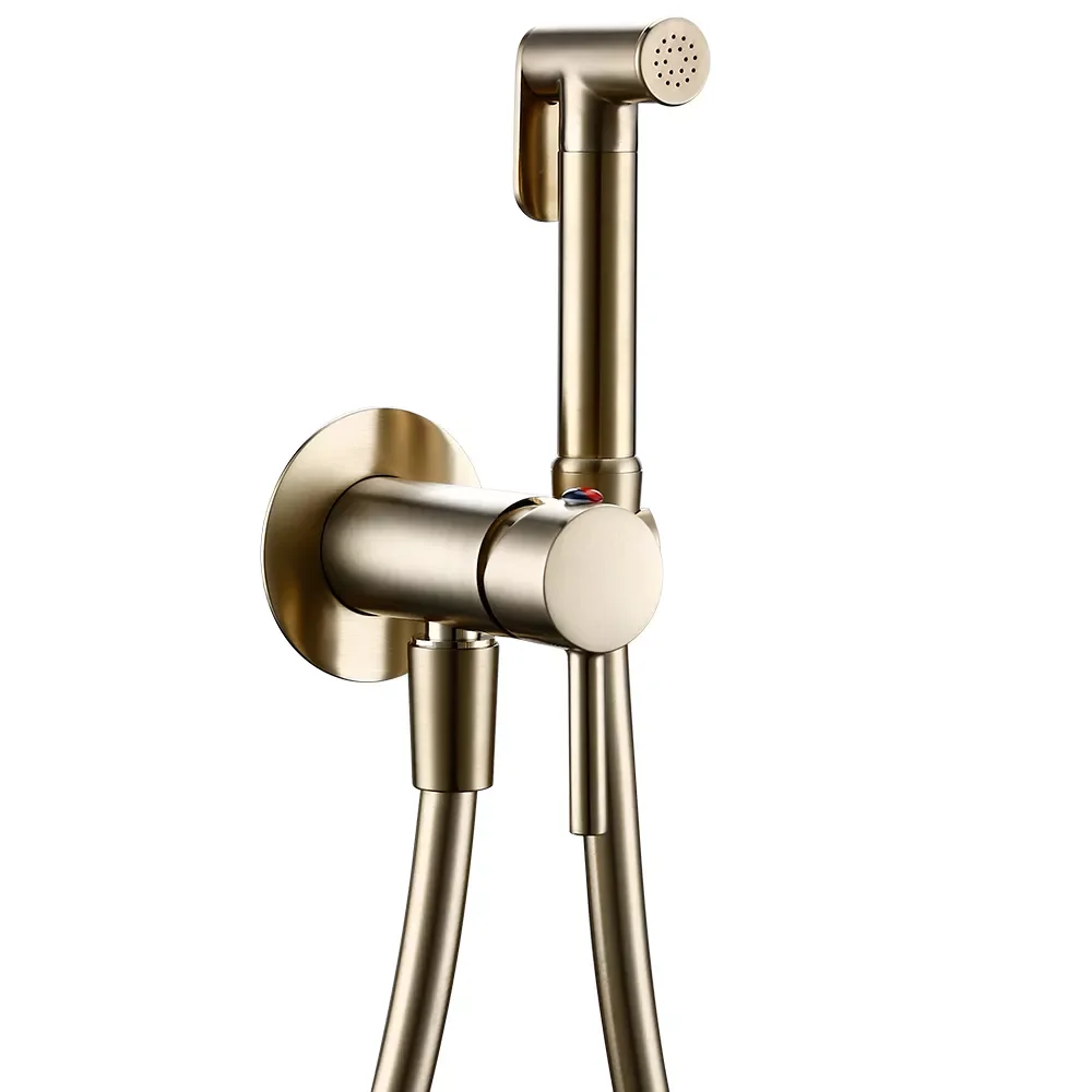 Brushed gold Brass Hand-held Wall-mounted Hybrid Hot And Cold Water With Stand Bathroom kitchen Toilet Faucet Bidet Sprayer
Brushed gold Brass Hand-held Wall-mounted Hybrid Hot And Cold Water With Stand Bathroom kitchen Toilet Faucet Bidet Sprayer