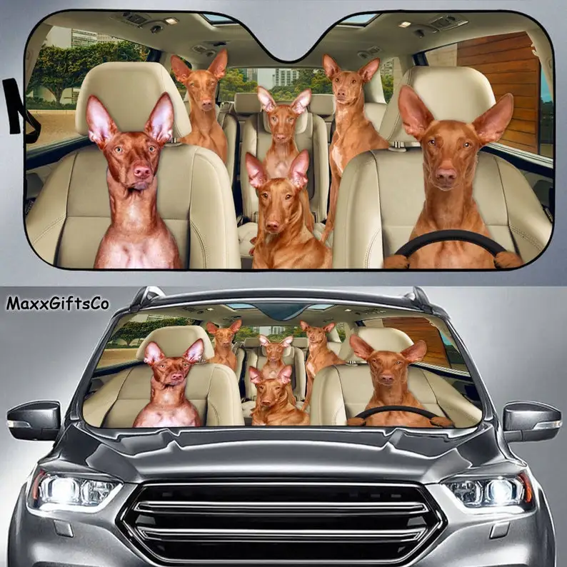Pharaoh Hound Car Sun Shade, Pharaoh Hound Windshield, Dogs Family Sunshade, Dog Car Accessories, Car Decoration, Gift For Dad,
Pharaoh Hound Car Sun Shade, Pharaoh Hound Windshield, Dogs Family Sunshade, Dog Car Accessories, Car Decoration, Gift For Dad,