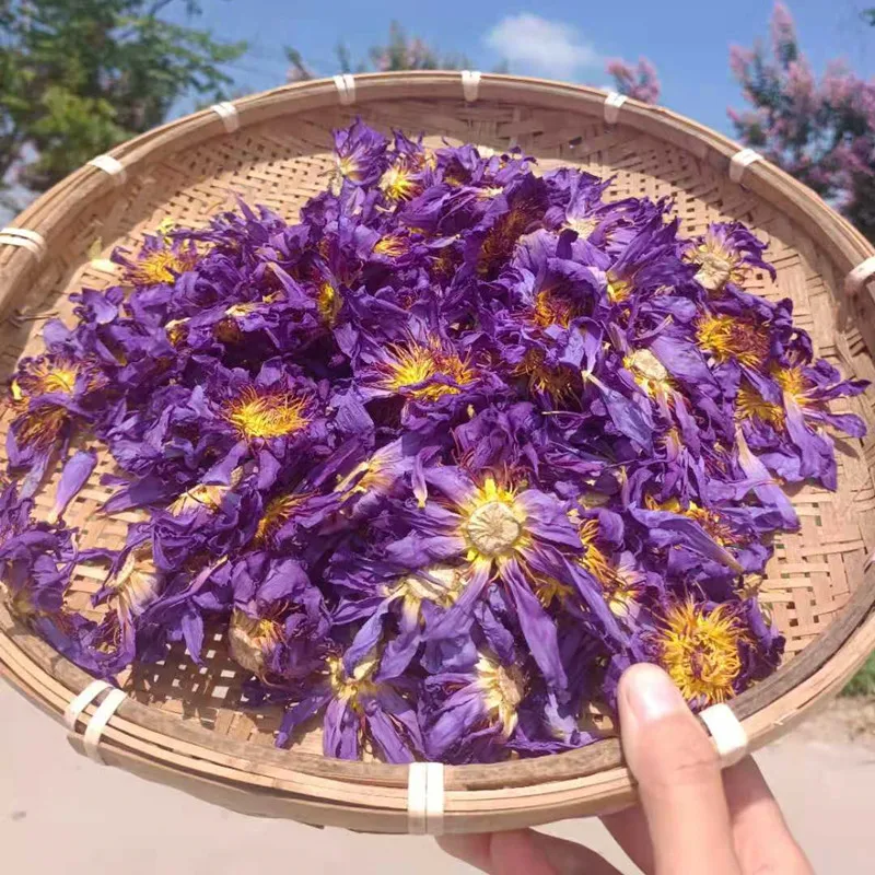 1kg Blue Lotus Dried Flower Egyptian Water Lily Low Temperature Baking Supplies
1kg Blue Lotus Dried Flower Egyptian Water Lily Low Temperature Baking Supplies