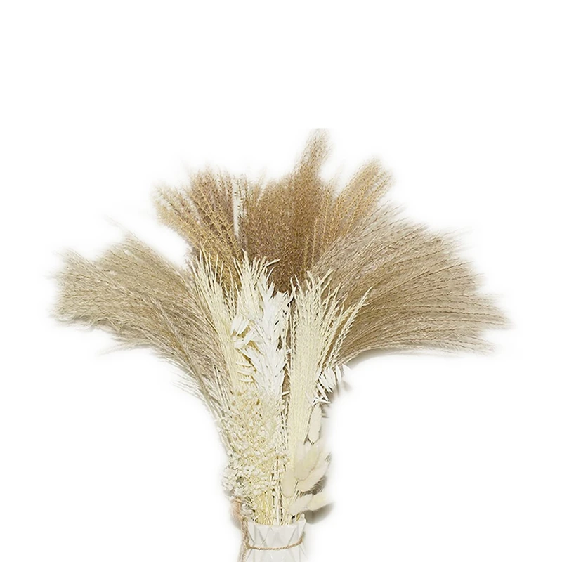 A63I Pampas Grass,60Pcs Natural Dried Pampas Grass Decor 17Inch-Brown Pampas For Flower Arrangements Boho Wedding Home Decor
A63I Pampas Grass,60Pcs Natural Dried Pampas Grass Decor 17Inch-Brown Pampas For Flower Arrangements Boho Wedding Home Decor