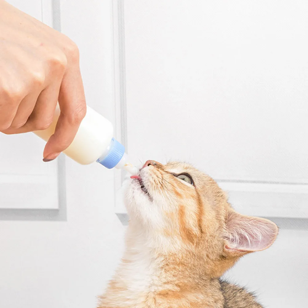 Creative Puppy Feeding Bottle Set Silicone Home Dog Cat Kitten Baby Nursing Water Milk Feeder with Brush Pacifiers
Creative Puppy Feeding Bottle Set Silicone Home Dog Cat Kitten Baby Nursing Water Milk Feeder with Brush Pacifiers