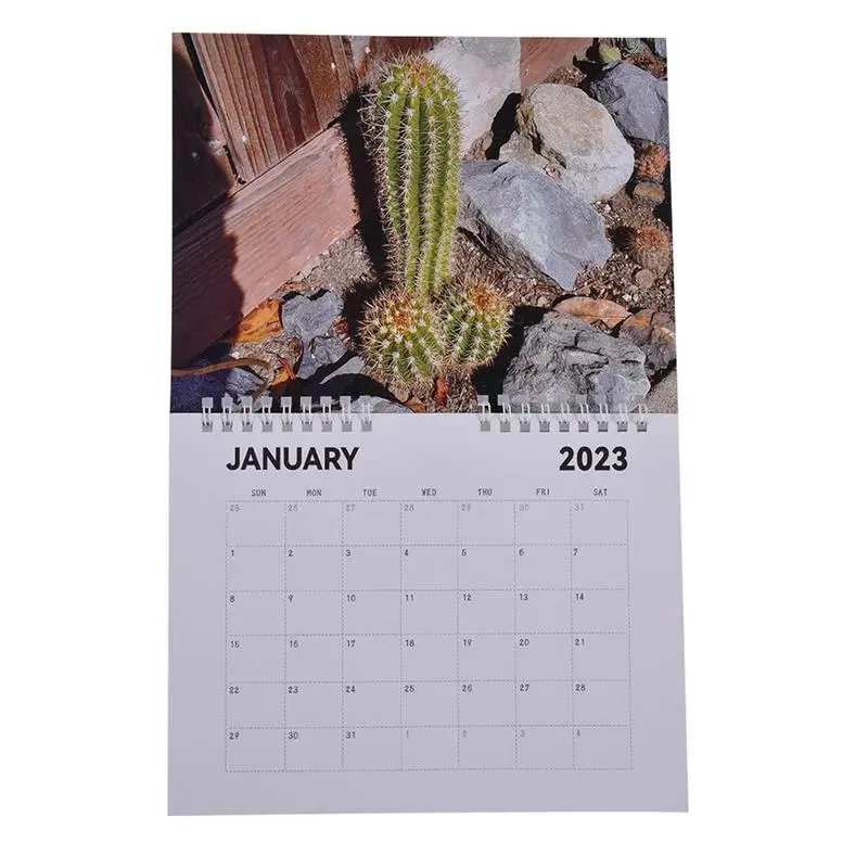Wall Calendar 2023 Creative Natural Scenery Calendar January 2023 December Monthly Hangable Wall Calendar Funny Christmas New
Wall Calendar 2023 Creative Natural Scenery Calendar January 2023 December Monthly Hangable Wall Calendar Funny Christmas New