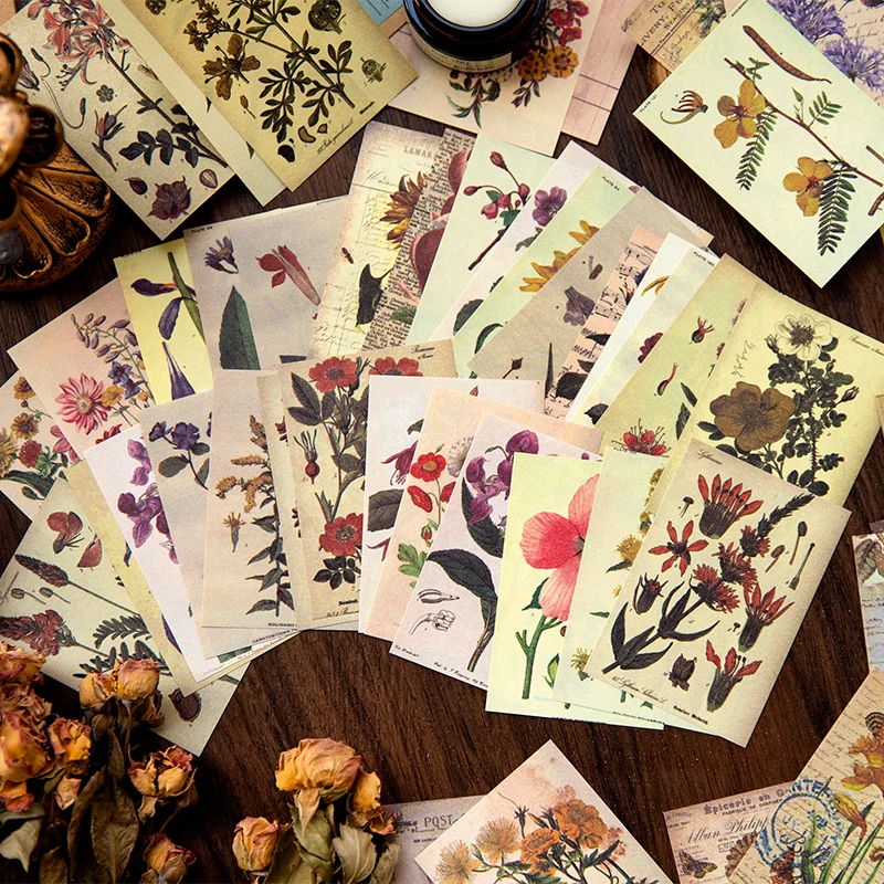 50Sheets Material Paper Memory Decorative base Quotes Writing Supplies Plant Notebooks Handbook Scrapbook 87*61MM
50Sheets Material Paper Memory Decorative base Quotes Writing Supplies Plant Notebooks Handbook Scrapbook 87*61MM