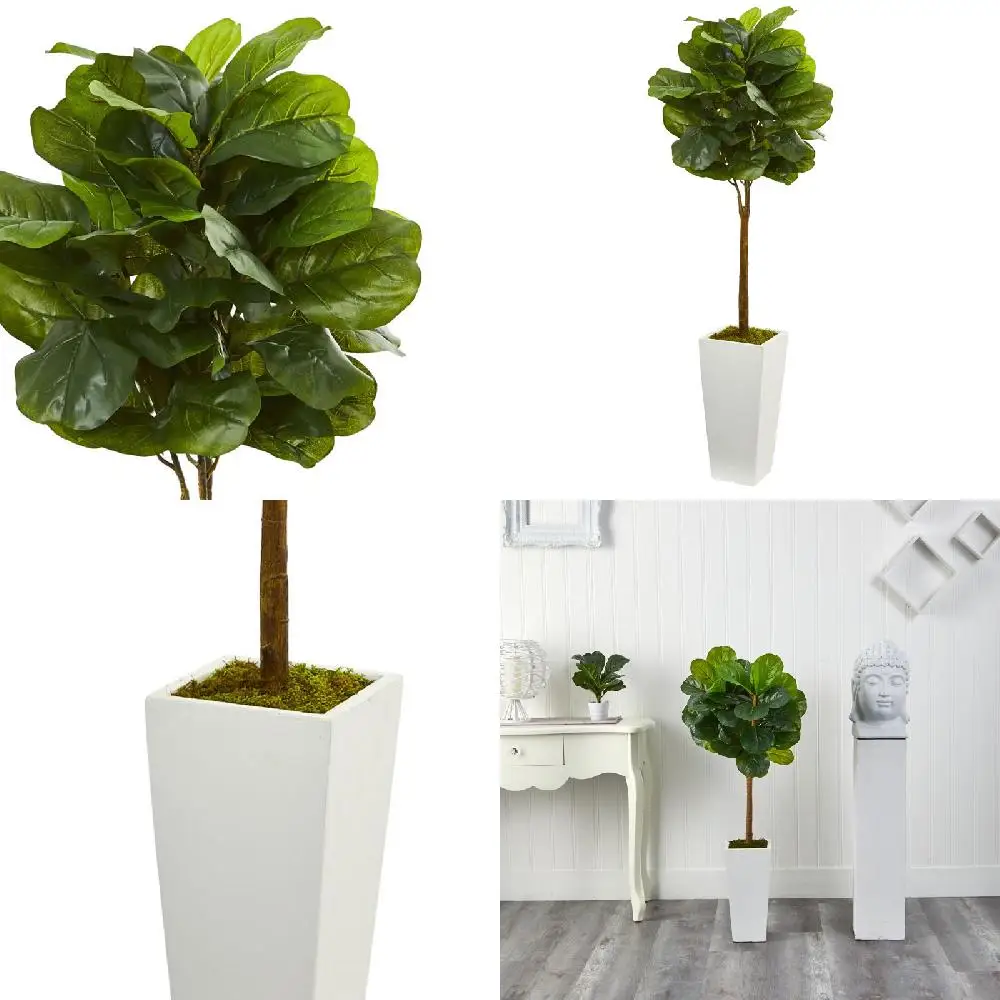 Stylish Elegant Fiddle Leaf Artificial Tree in White Tower Planter, perfect for home decoration.
Stylish Elegant Fiddle Leaf Artificial Tree in White Tower Planter, perfect for home decoration.