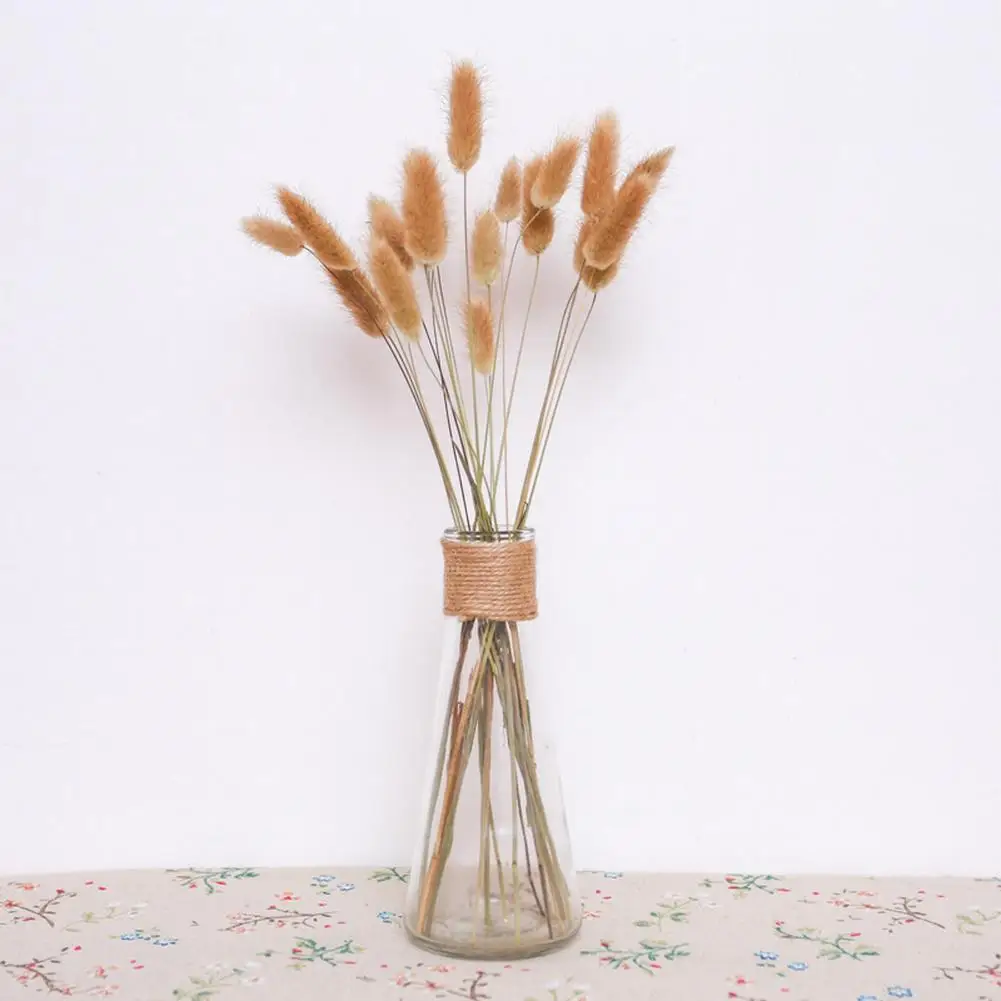 20Pcs Natural Dried Flower Bunny Tail Natural Plants DIY Floral Rabbit Grass Bouquet For Photo Props Flores Home Wedding Decor
20Pcs Natural Dried Flower Bunny Tail Natural Plants DIY Floral Rabbit Grass Bouquet For Photo Props Flores Home Wedding Decor