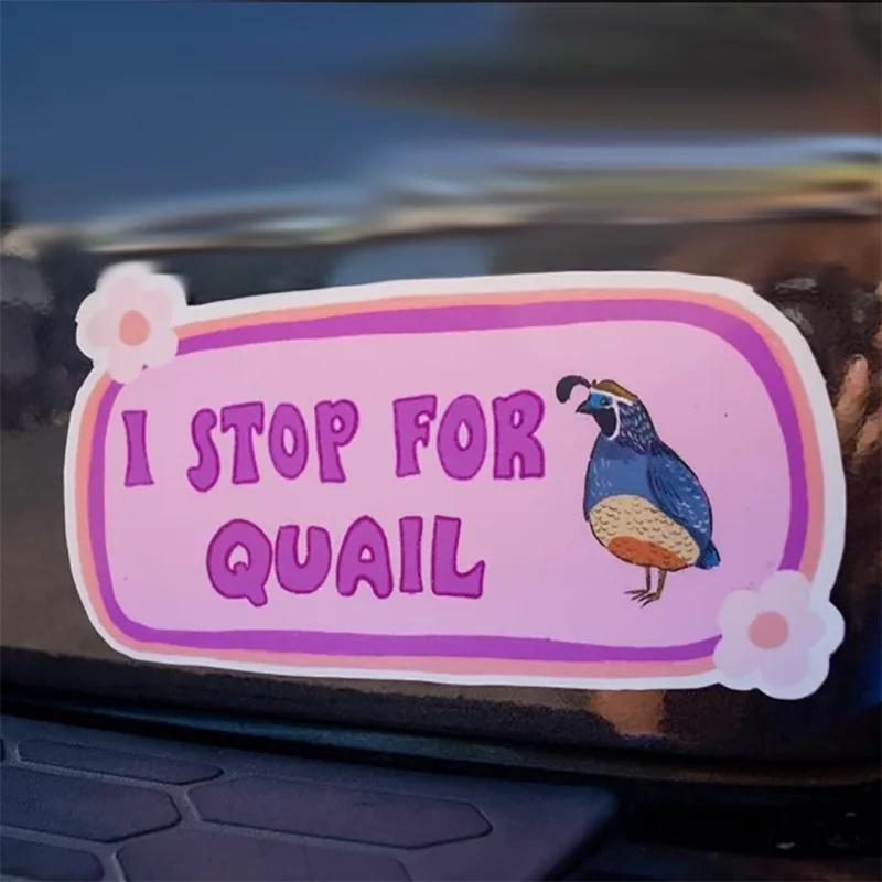 I Stop For Quail Car Stickers For Decor Window Windshield Bumper Sticker Pack Exterior Accessories DIY Waterproof Vinyl Decals
I Stop For Quail Car Stickers For Decor Window Windshield Bumper Sticker Pack Exterior Accessories DIY Waterproof Vinyl Decals