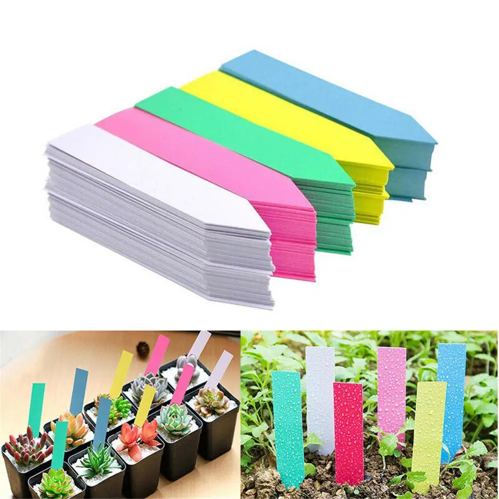 100pcs Plant Tag Garden Label Plastic Hanging Waterproof Tagging Nursery Pot Marker
100pcs Plant Tag Garden Label Plastic Hanging Waterproof Tagging Nursery Pot Marker