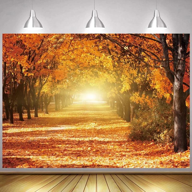 Осенний фон для фотосъемки с изображением опавшей листьев и звёзд солнечных дорог детей младенцев портретная сцена для студийной фотосъем...
Осенний фон для фотосъемки с изображением опавшей листьев и звёзд солнечных дорог детей младенцев портретная сцена для студийной фотосъем...