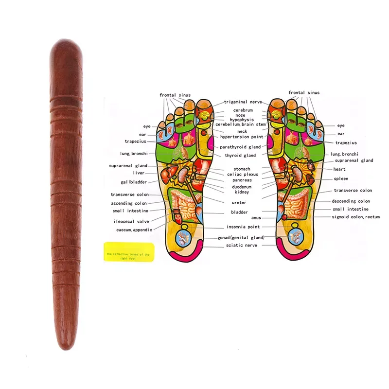 Foot Spa Physiotherapy Reflexology Thai Foot Massage Health Chart Free Massage Stick Tool
Foot Spa Physiotherapy Reflexology Thai Foot Massage Health Chart Free Massage Stick Tool