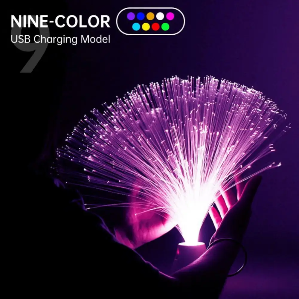 LED Fiber Optic Lights Holiday Atmosphere Lights Lanterns Starry Sky Wedding Party Christmas Decoration Home Furnishing Lighting
LED Fiber Optic Lights Holiday Atmosphere Lights Lanterns Starry Sky Wedding Party Christmas Decoration Home Furnishing Lighting