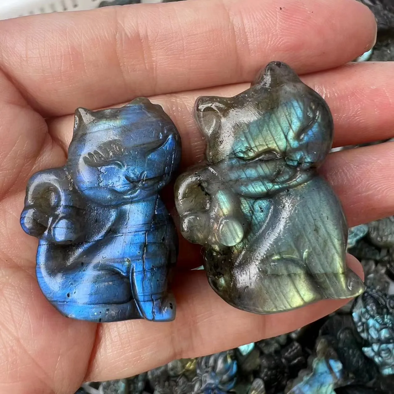 Natural Labradorite Crystal Hand Carving Cute Animal Cat Home Decoration Christmas Gift Room Decor
Natural Labradorite Crystal Hand Carving Cute Animal Cat Home Decoration Christmas Gift Room Decor