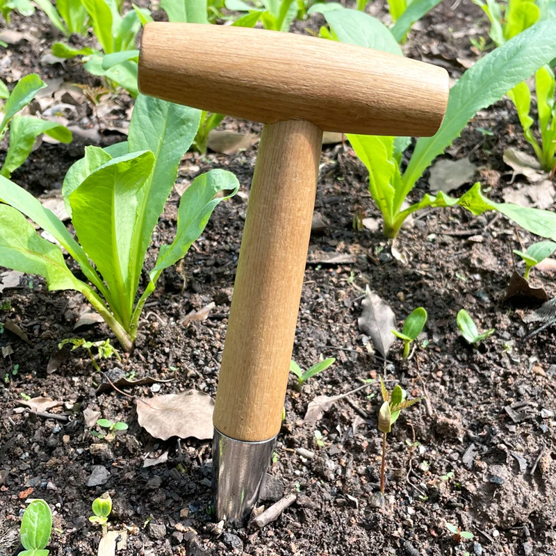 

1PC Household Gardening Wooden Planting Seeds And Bulbs Tools Seedling Remover Hand Digger Garden Seed Planter Tool