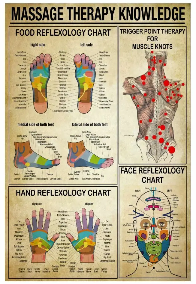 Massage Therapy Knowledge Foot Reflexology Chart Trigger Point Therapy Art Picture Print Silk Poster Home Wall Decor
Massage Therapy Knowledge Foot Reflexology Chart Trigger Point Therapy Art Picture Print Silk Poster Home Wall Decor