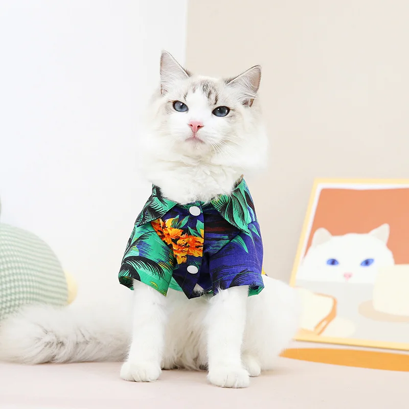 Одежда для кошек, одежда для кошек, Одежда для питомцев, одежда для кошек, Одежда для питомцев, Одежда для питомцев, комплект для кошек
Одежда для кошек, одежда для кошек, Одежда для питомцев, одежда для кошек, Одежда для питомцев, Одежда для питомцев, комплект для кошек
