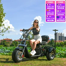 EU COC Is Legally On The Road Adult Electric tricycle 2000W Motor Max Speed 40-45KM/H Max Load 250KG 18 Inch Off road Fat Tire