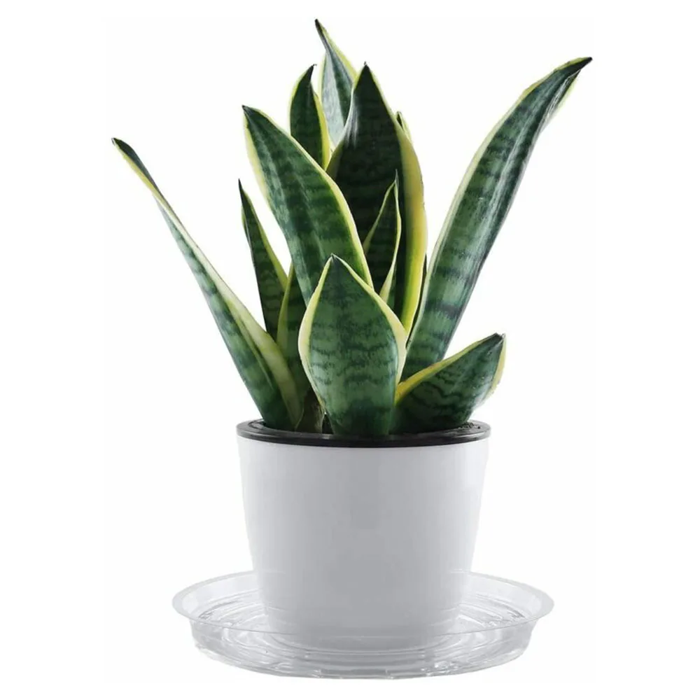 10pcs Flower Pots Nursery Planter Tray Garden Plant Saucer Drip Tray Round Pot Base Clear Gardening Supply Home Decor
10pcs Flower Pots Nursery Planter Tray Garden Plant Saucer Drip Tray Round Pot Base Clear Gardening Supply Home Decor