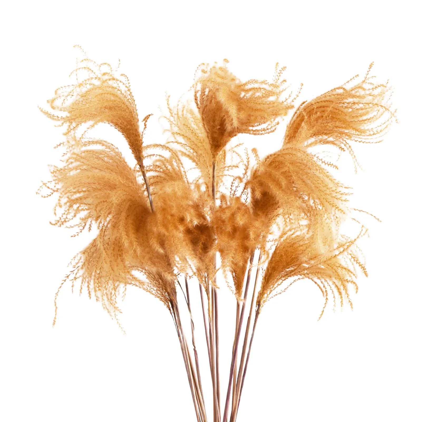 Сушеная пампасная трава 20 шт., высокие сушеные пампасы, трава, ветки, естественная помпоновая трава, Декор, Язычковая пушистая трава, натурал... 
Сушеная пампасная трава 20 шт., высокие сушеные пампасы, трава, ветки, естественная помпоновая трава, Декор, Язычковая пушистая трава, натурал...