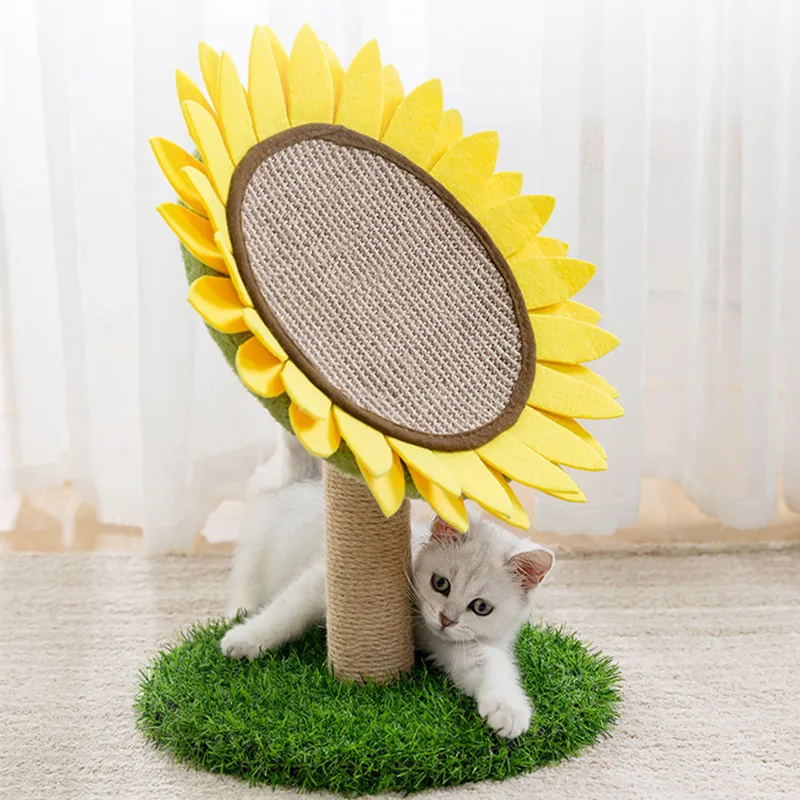 Molar Pets Dogs Accessories Pet Toy Dog Training Cat and Dog Toys Things for Cats Items Products Stuffed Large Travel Plush Home
Molar Pets Dogs Accessories Pet Toy Dog Training Cat and Dog Toys Things for Cats Items Products Stuffed Large Travel Plush Home
