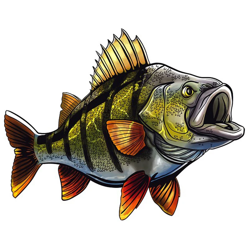 For Fishing Fish RV Car Stickers Motorcycle Decal Laptop Vinyl Car Wrap Anime Surfboard Decals Decor 13cm X 10.4cm
For Fishing Fish RV Car Stickers Motorcycle Decal Laptop Vinyl Car Wrap Anime Surfboard Decals Decor 13cm X 10.4cm