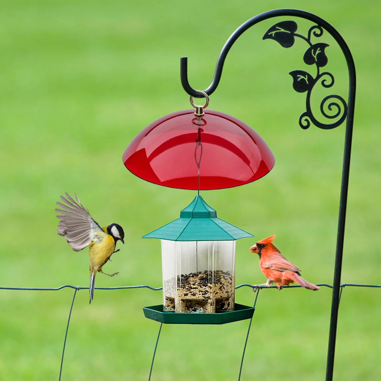 Bird Feeder Clear Protective Squirrel Guard Weather Dome Mealworm Feeder Baffle Rain Cover for Hummingbird Bluebird Yard Decor
Bird Feeder Clear Protective Squirrel Guard Weather Dome Mealworm Feeder Baffle Rain Cover for Hummingbird Bluebird Yard Decor