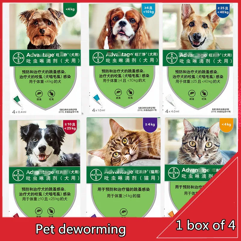 Немецкая собака дегломирование, блохи, клещи, домашние животные, большие, средние и маленькие собаки и собаки In vivo Deworming Drops
Немецкая собака дегломирование, блохи, клещи, домашние животные, большие, средние и маленькие собаки и собаки In vivo Deworming Drops