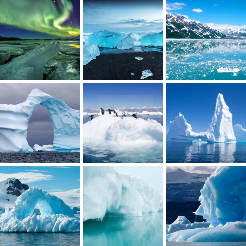 Iceberg 5D Diamond Painting Environmental Protection Art Mosaic Natural Scenery The South Pole Animal Home Decor Novelties
Iceberg 5D Diamond Painting Environmental Protection Art Mosaic Natural Scenery The South Pole Animal Home Decor Novelties
