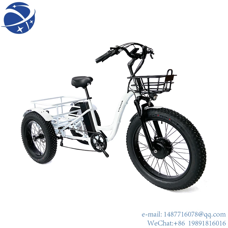 YYHC 3 wheels fat tire mountain cruiser cargo sport bike tricycle 750w electric ebike e-cargo family e bicycle
YYHC 3 wheels fat tire mountain cruiser cargo sport bike tricycle 750w electric ebike e-cargo family e bicycle