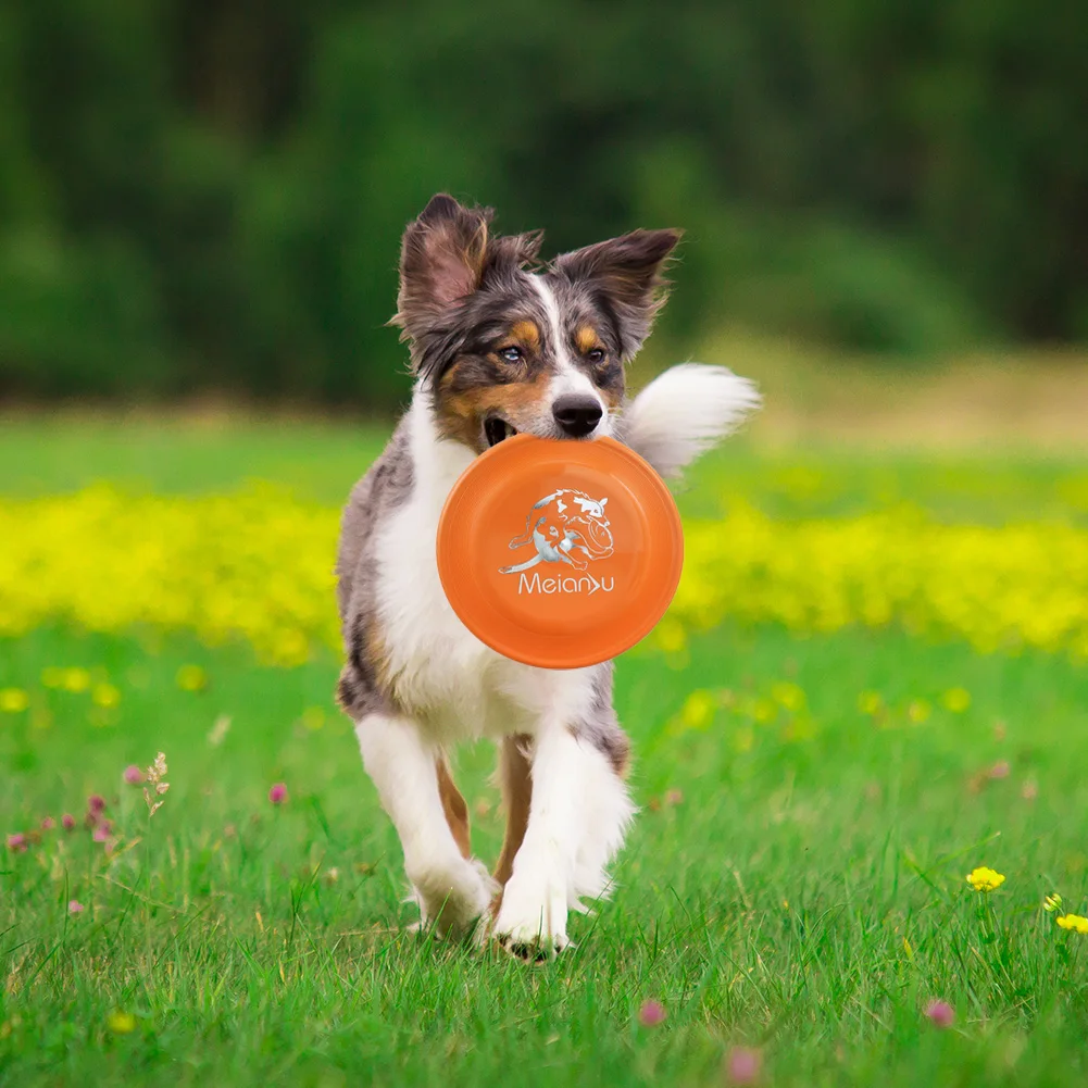 Pet Dog Training Chew Toy Competition Sport Supplies Professional Dog Flying Disc Windproof Stable Easy to Throw Saucer Puppy
Pet Dog Training Chew Toy Competition Sport Supplies Professional Dog Flying Disc Windproof Stable Easy to Throw Saucer Puppy